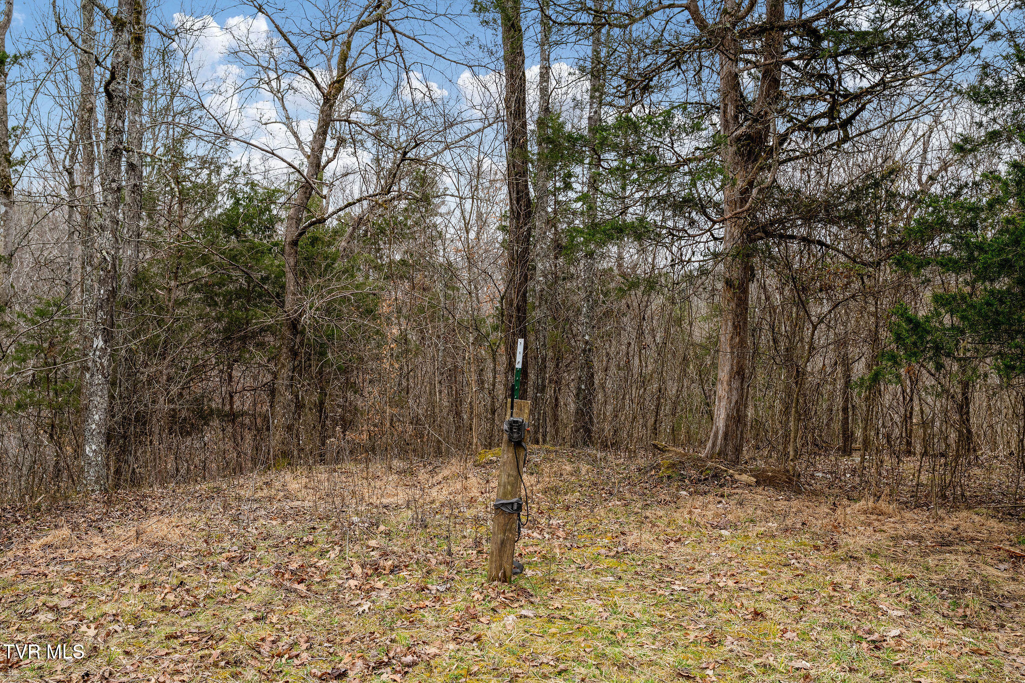 Tbd Smithtown Road Afton, TN 37616 - Photo 26 of 52 DSC03778