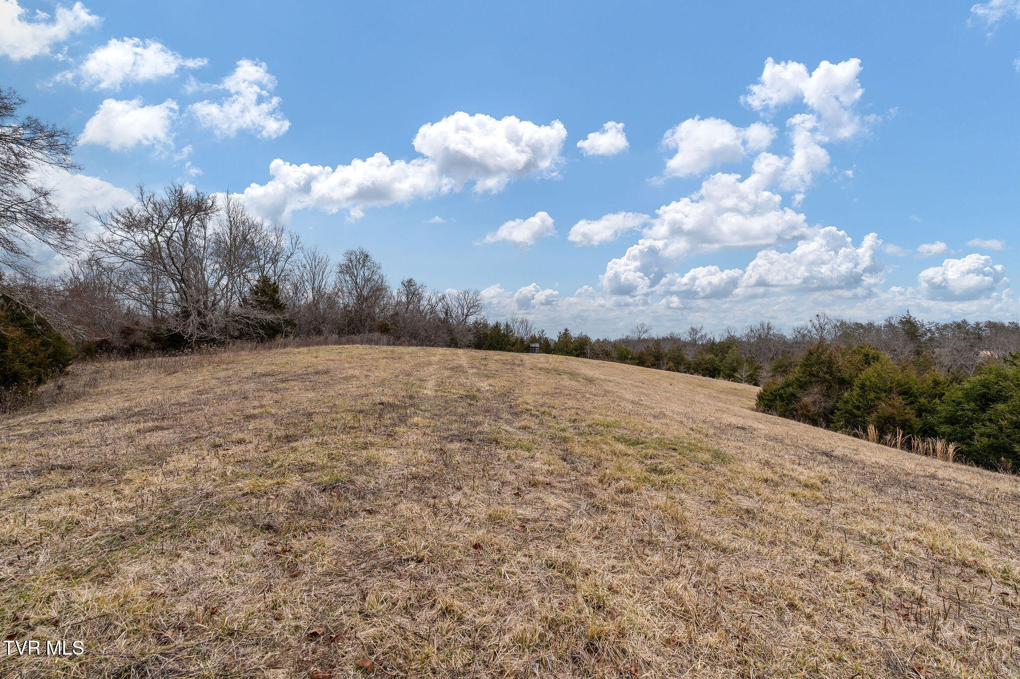 Tbd Smithtown Road Afton, TN 37616 - Photo 27 of 52 DSC03779