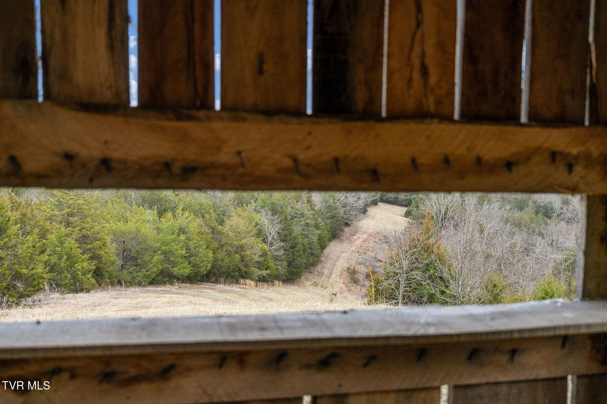 Tbd Smithtown Road Afton, TN 37616 - Photo 31 of 52 DSC03785