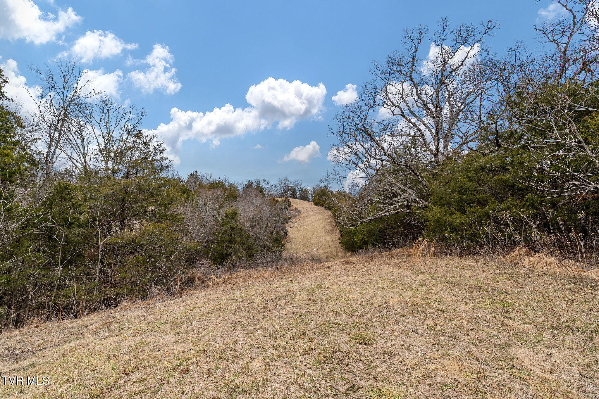 Tbd Smithtown Road Afton, TN 37616 - Photo 32 of 52 DSC03788