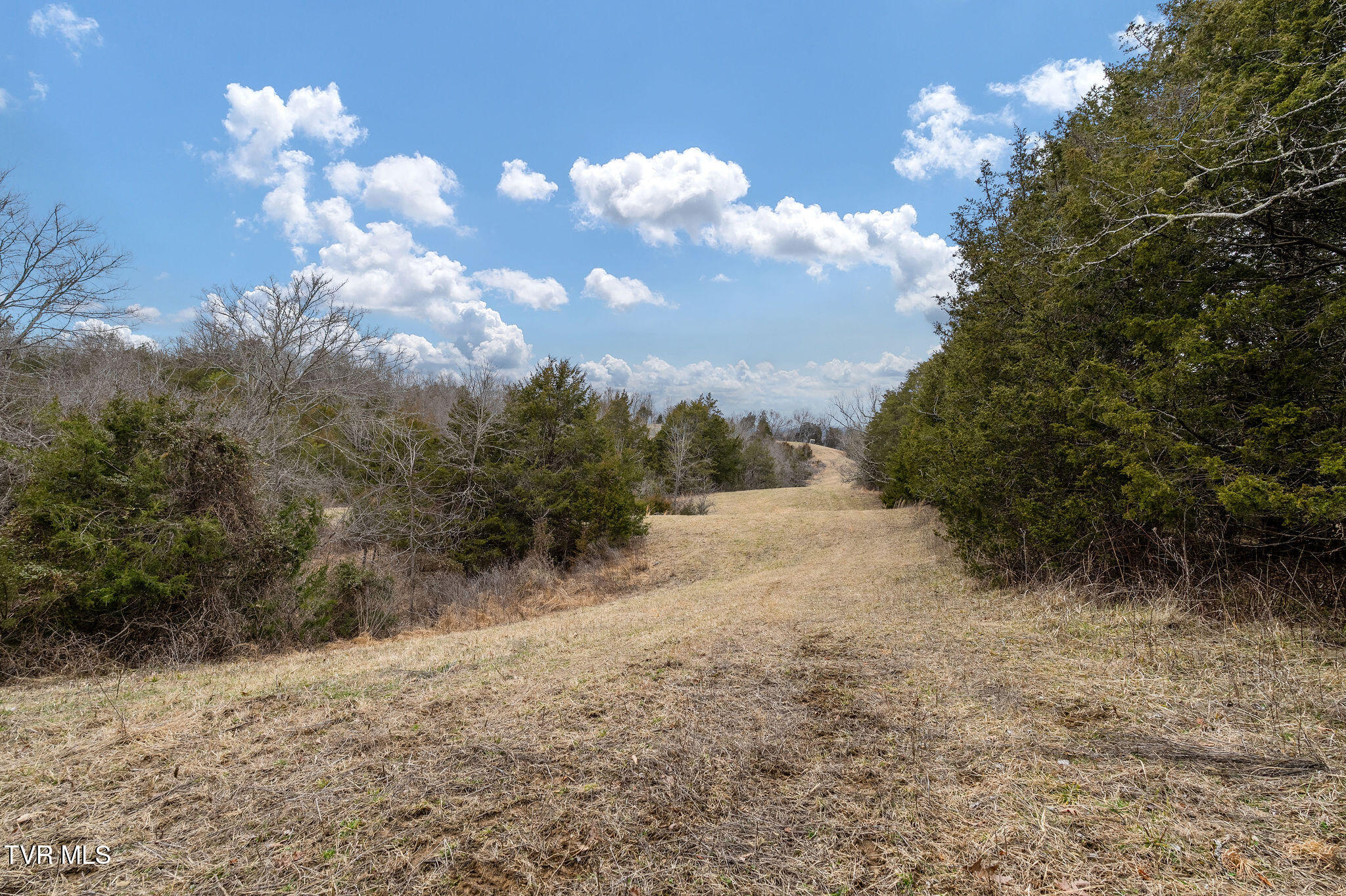 Tbd Smithtown Road Afton, TN 37616 - Photo 33 of 52 DSC03789