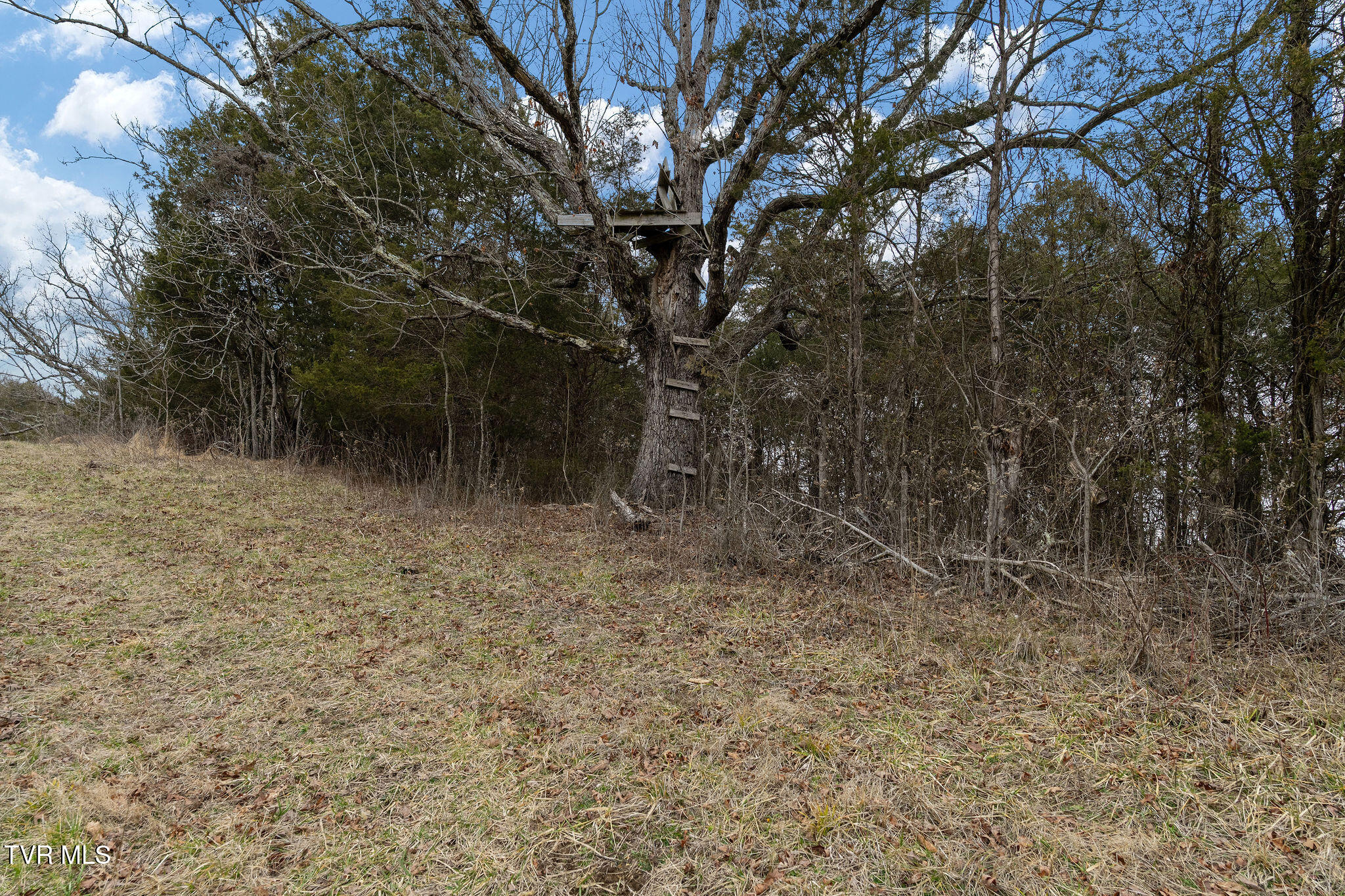 Tbd Smithtown Road Afton, TN 37616 - Photo 34 of 52 DSC03790