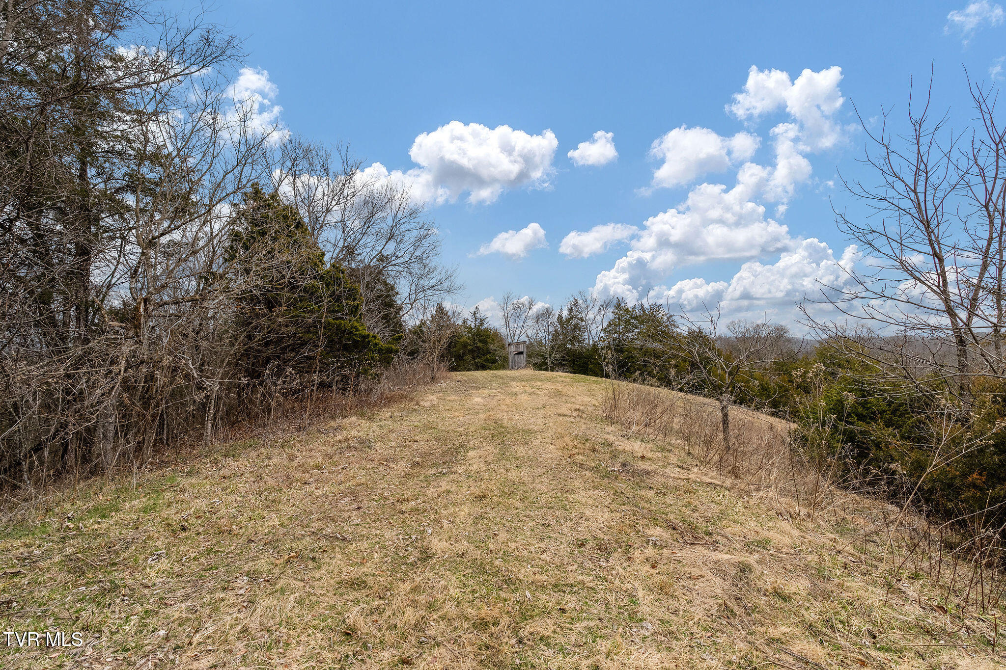 Tbd Smithtown Road Afton, TN 37616 - Photo 37 of 52 DSC03794