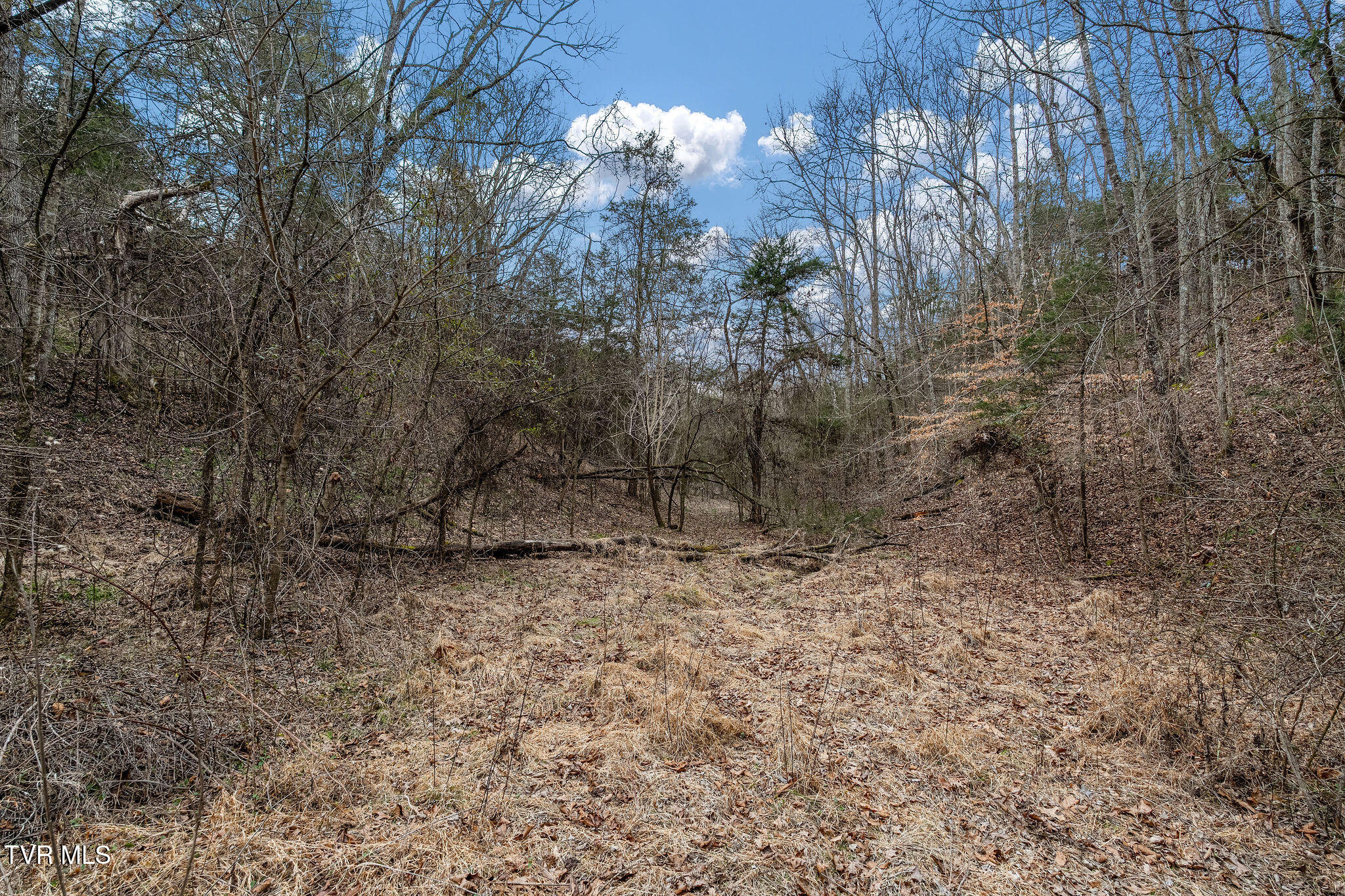 Tbd Smithtown Road Afton, TN 37616 - Photo 40 of 52 DSC03798