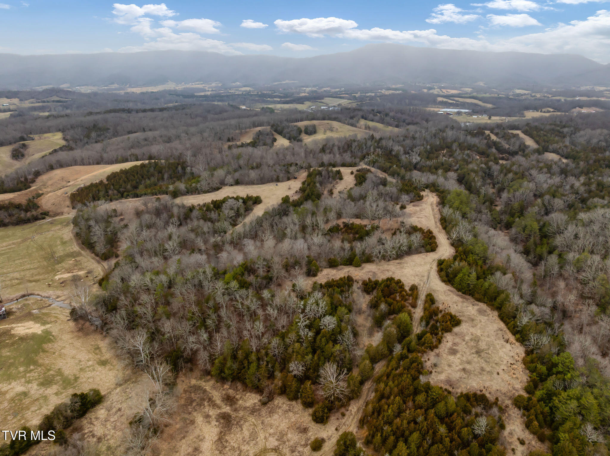 Tbd Smithtown Road Afton, TN 37616 - Photo 4 of 52 DJI_0956
