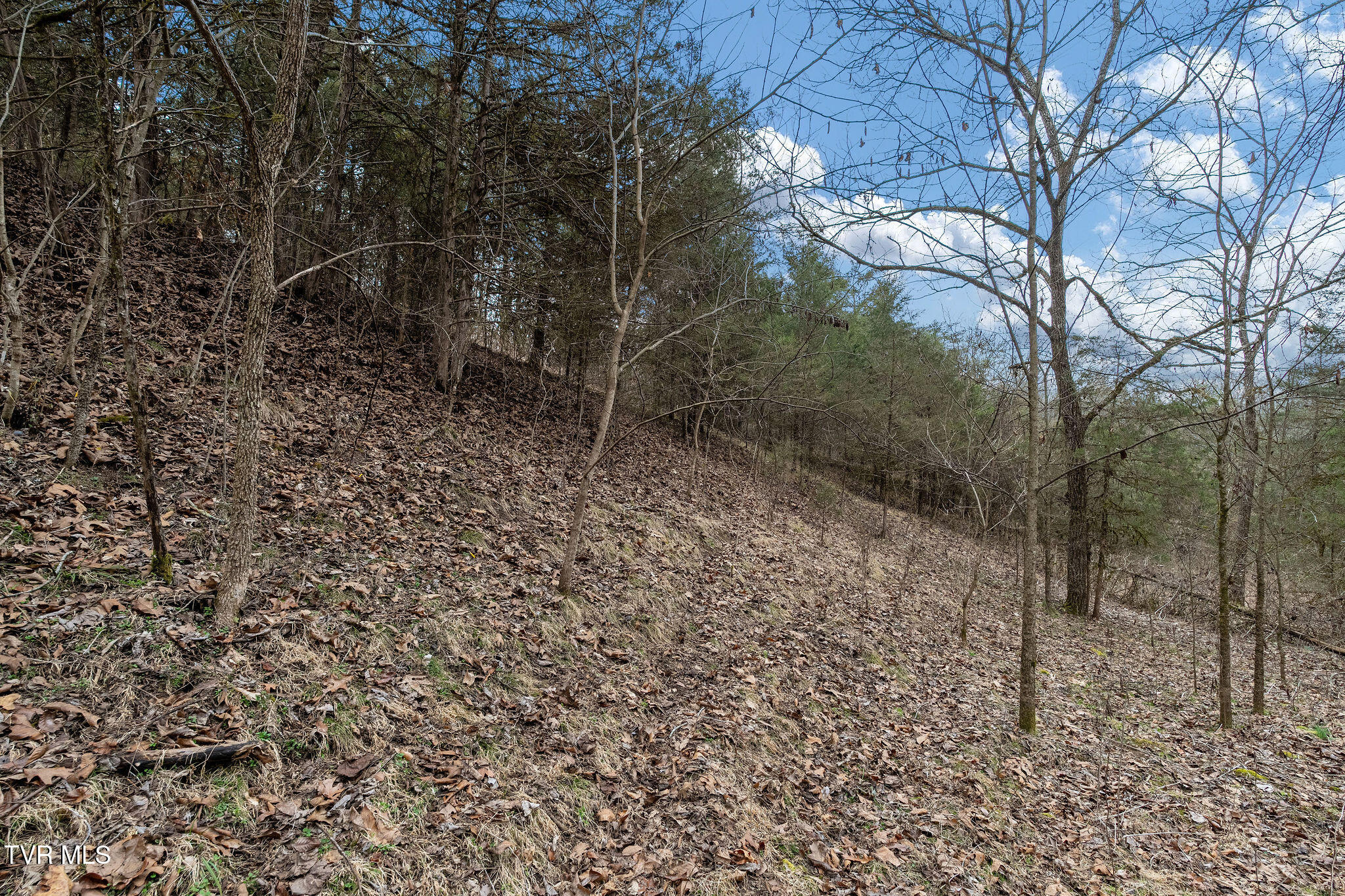 Tbd Smithtown Road Afton, TN 37616 - Photo 41 of 52 DSC03799