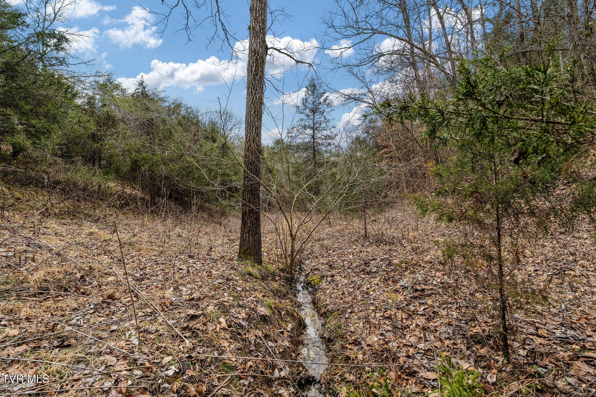 Tbd Smithtown Road Afton, TN 37616 - Photo 43 of 52 DSC03801