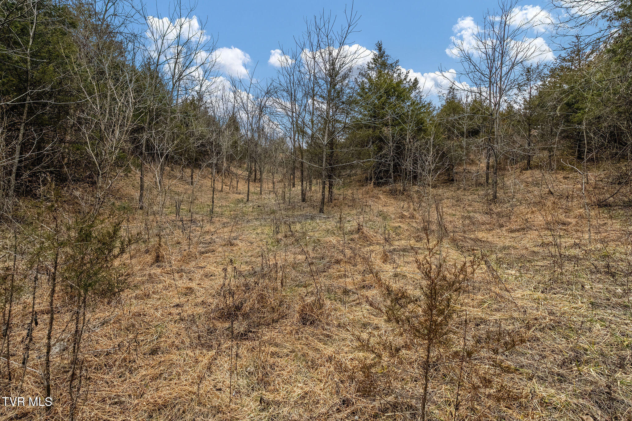 Tbd Smithtown Road Afton, TN 37616 - Photo 47 of 52 DSC03806