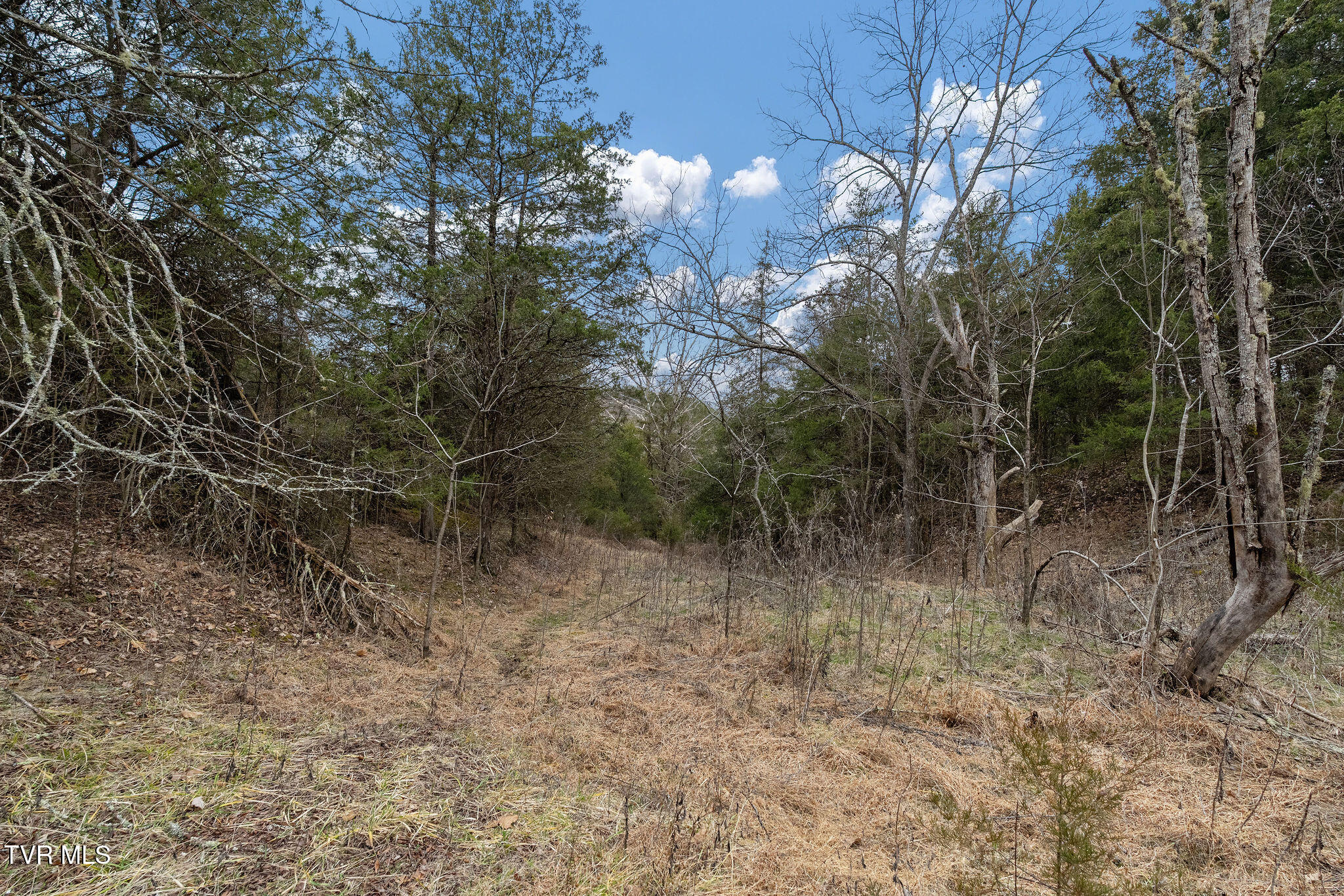 Tbd Smithtown Road Afton, TN 37616 - Photo 48 of 52 DSC03807