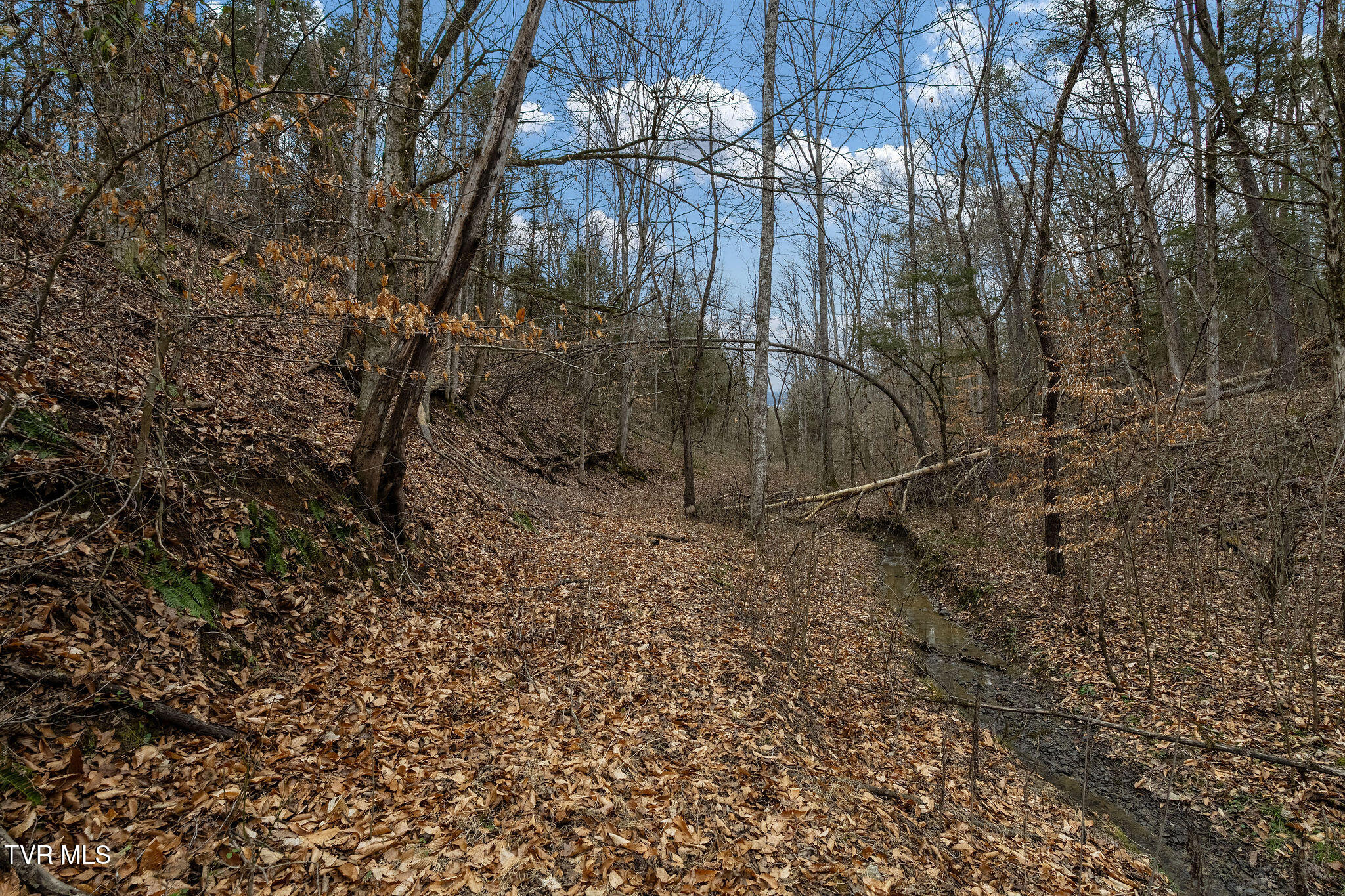 Tbd Smithtown Road Afton, TN 37616 - Photo 49 of 52 DSC03808