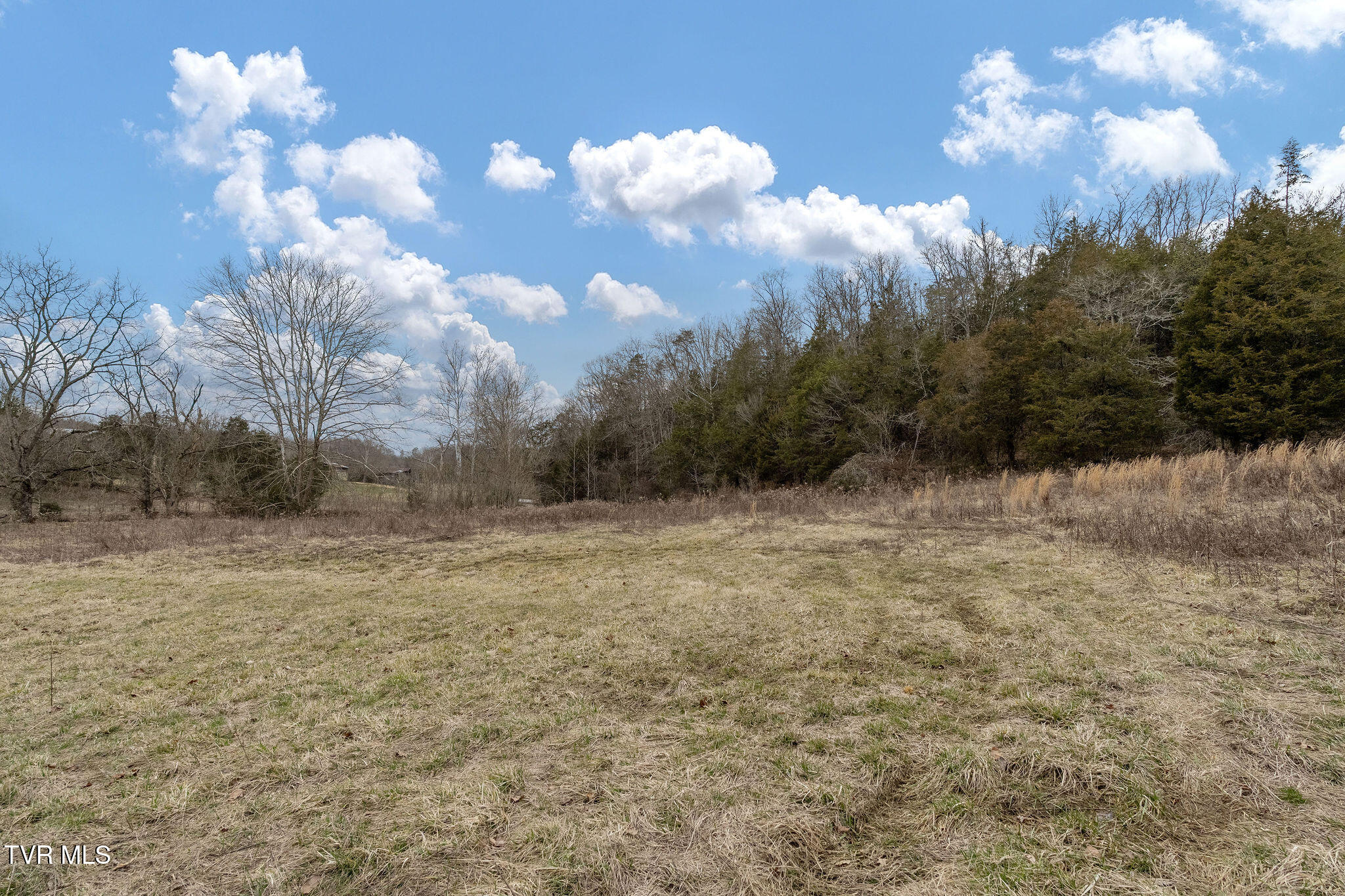 Tbd Smithtown Road Afton, TN 37616 - Photo 51 of 52 DSC03810