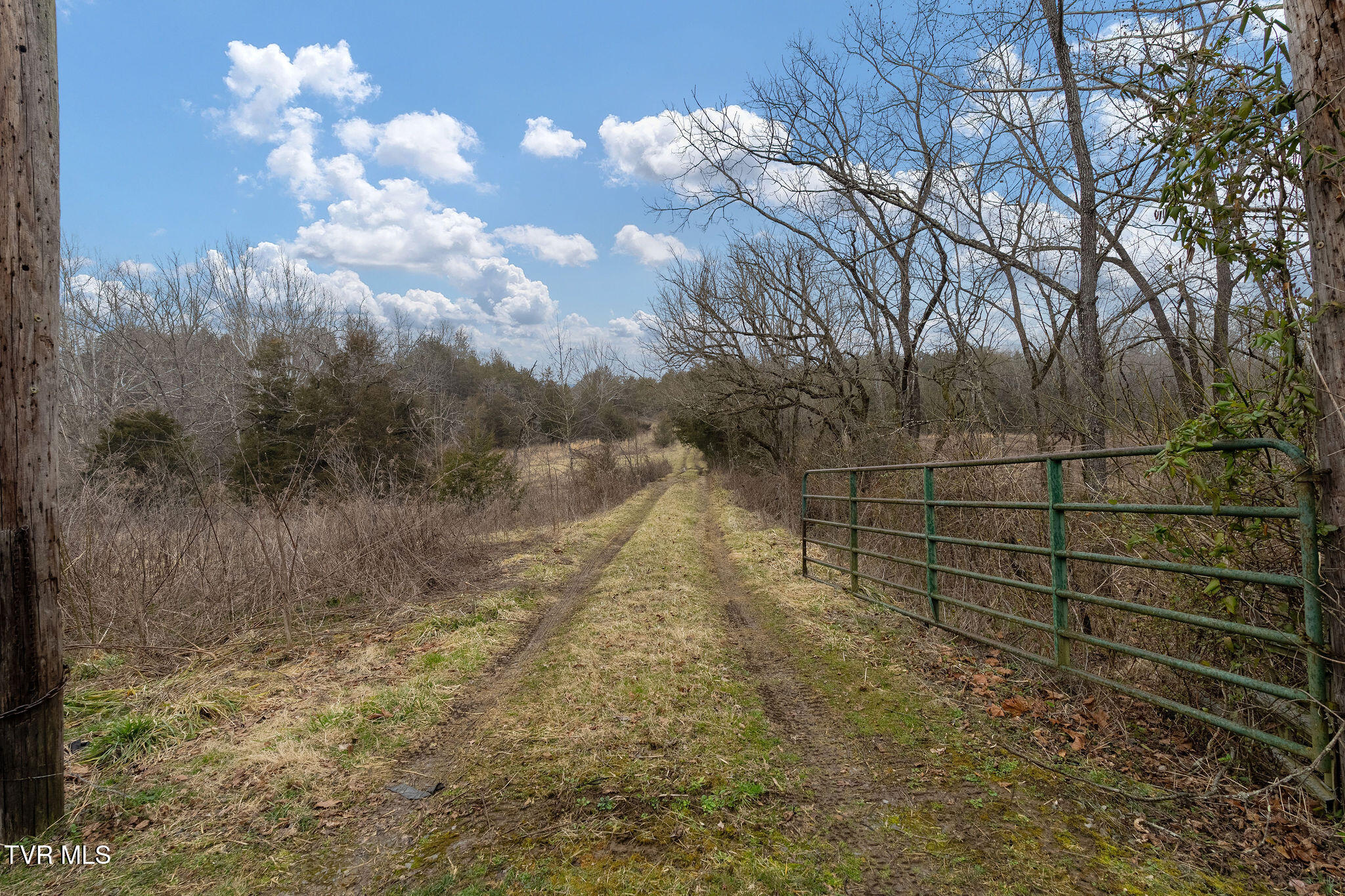 Tbd Smithtown Road Afton, TN 37616 - Photo 52 of 52 DSC03814