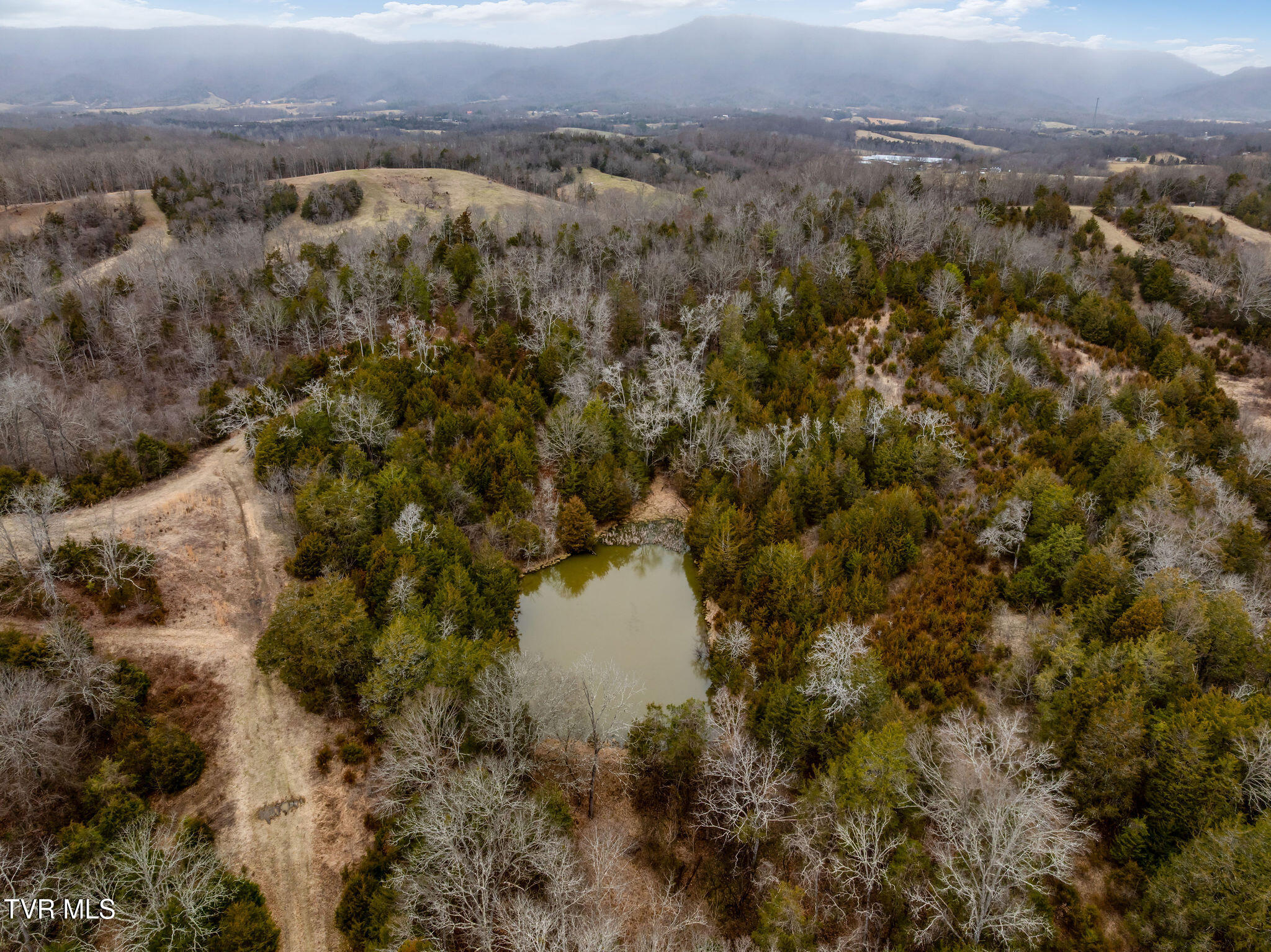 Tbd Smithtown Road Afton, TN 37616 - Photo 9 of 52 DJI_0961