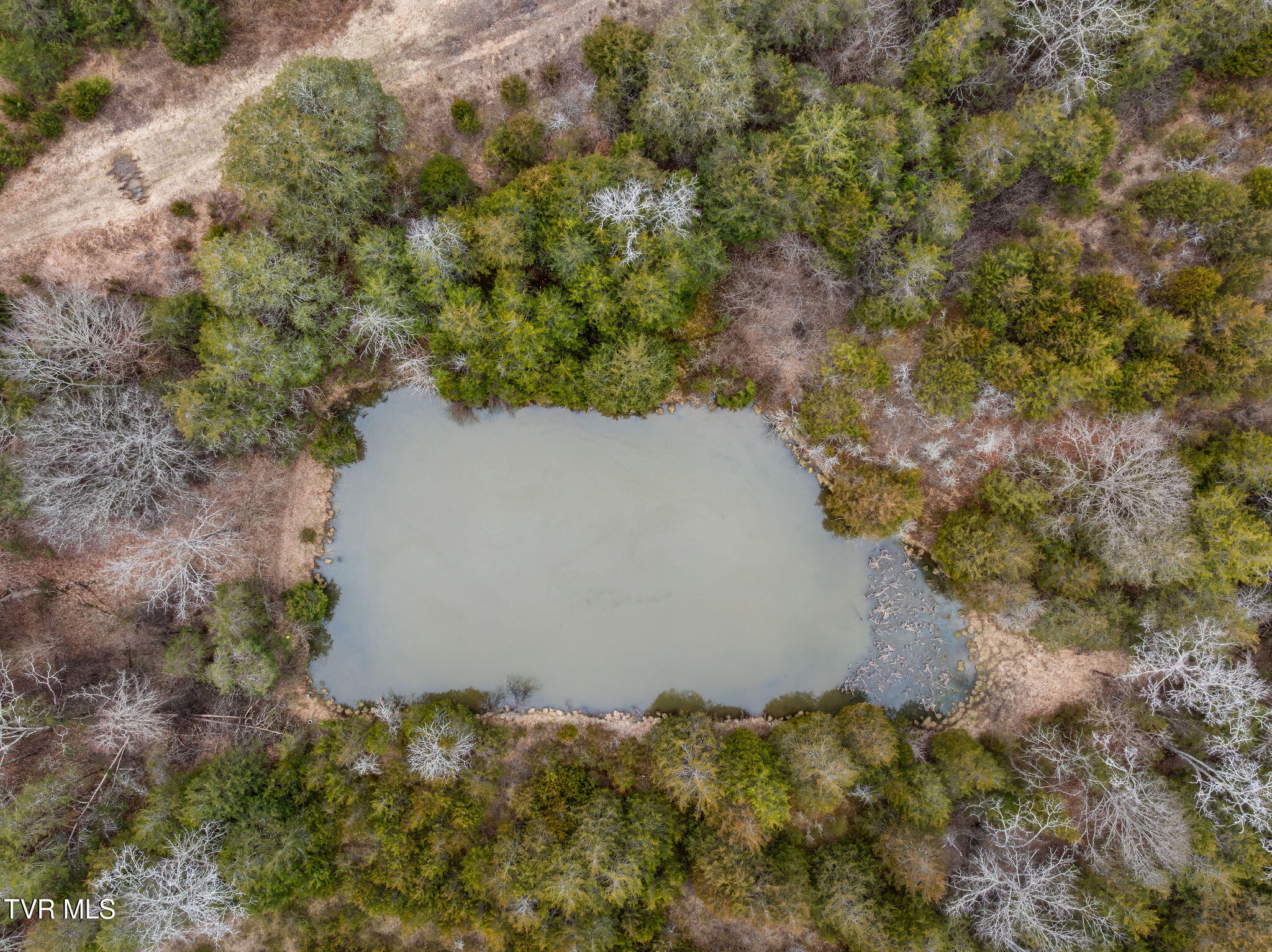 Tbd Smithtown Road Afton, TN 37616 - Photo 10 of 52 DJI_0966