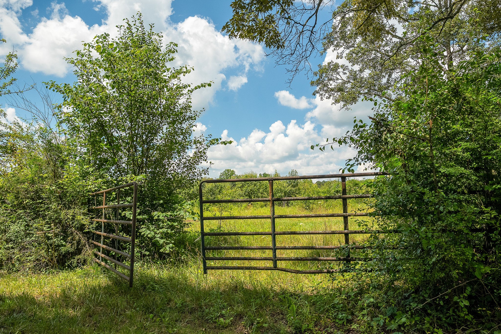 0 Gunter Road McMinnville, TN 37110 - Photo 7 of 24