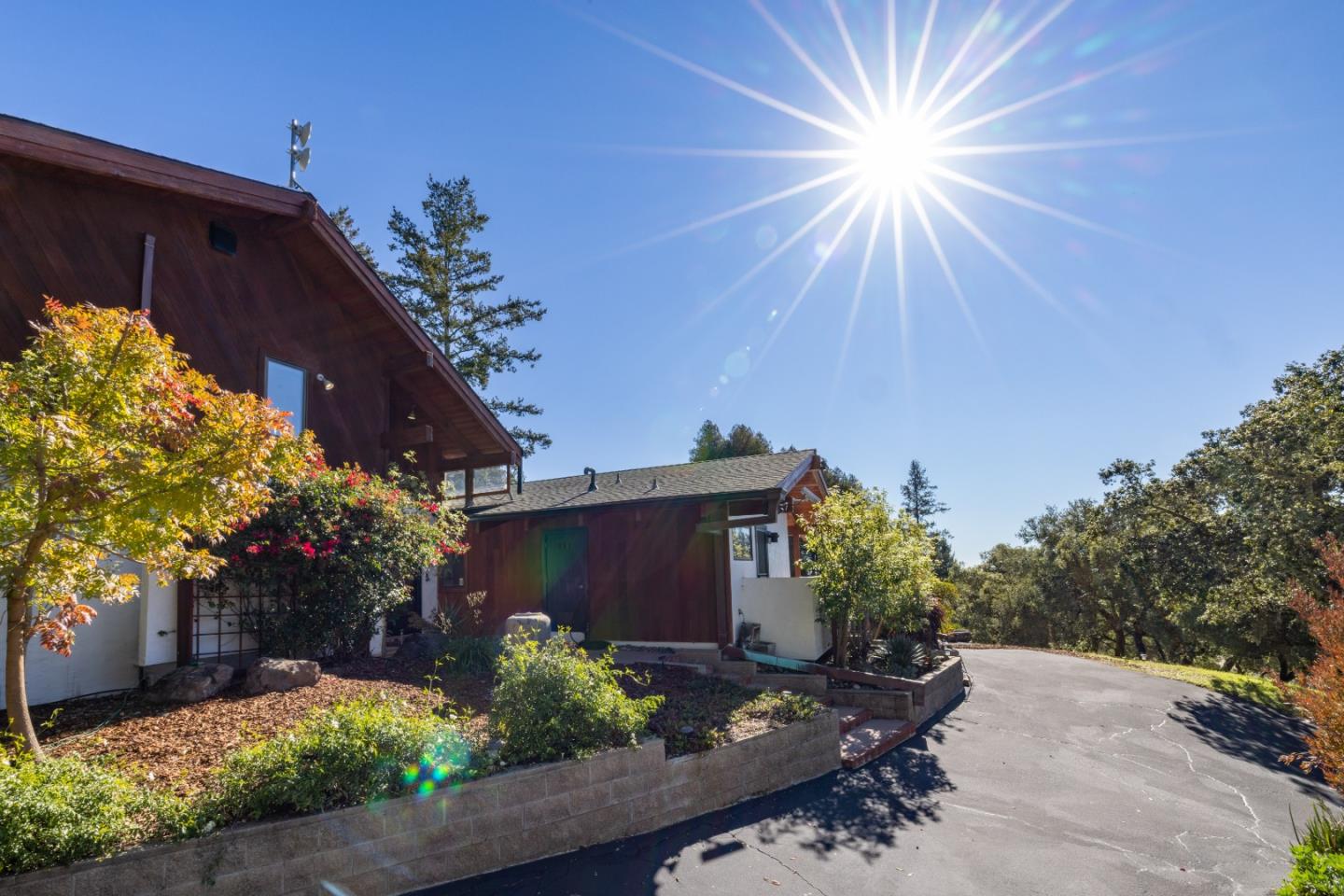 1390 Weston Ridge Road Scotts Valley, CA 95066 - Photo 51 of 55 a view of backyard with potted plants and a large tree