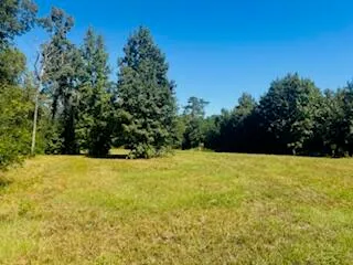 $99,000 | 0 Rehoboth Road, Unit PARCEL 1B, Cottageville, SC 29435