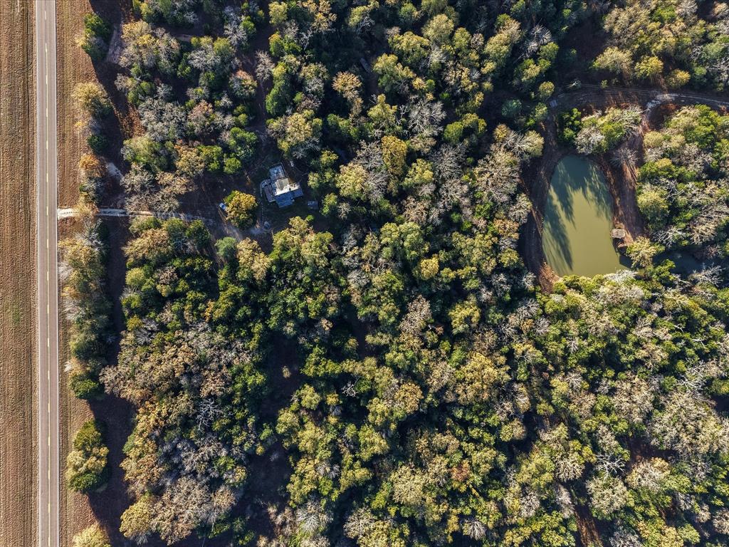 734 Interstate 45 Teague, TX 75860 - Photo 17 of 19 a view of a tree