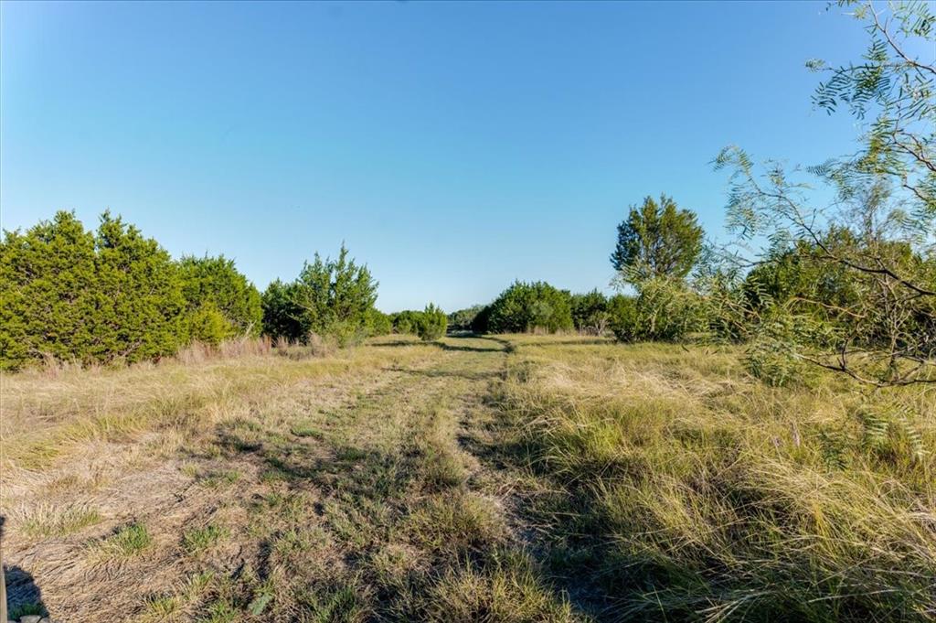 1674 Ming Bend Road Graham, TX 76450 - Photo 20 of 40 Expansive undeveloped land with natural vegetation and distant trees