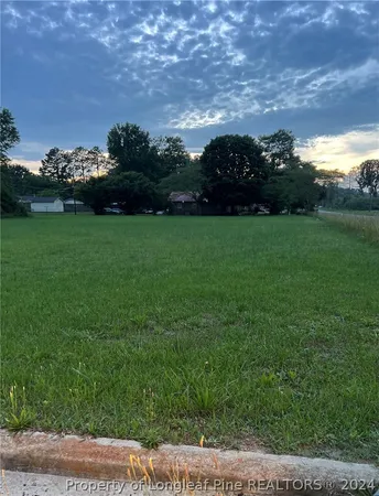 a view of a field of grass and trees