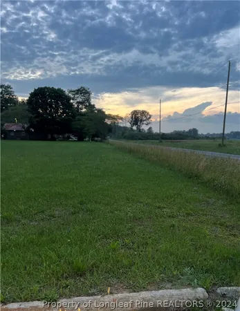 a view of a yard