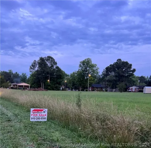 a view of a lush green field