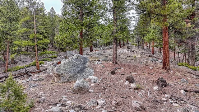 $330,000 | 30176 Mountaintop Drive, Buena Vista, CO 81211