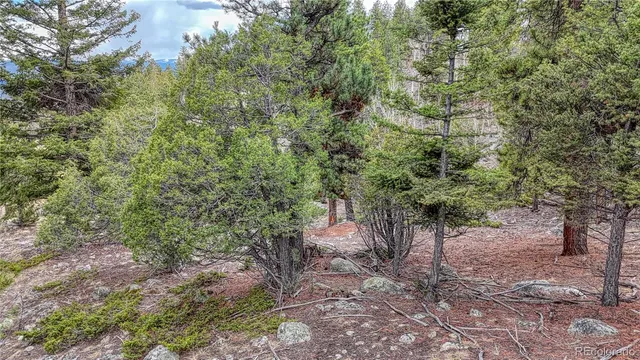 $330,000 | 30176 Mountaintop Drive, Buena Vista, CO 81211