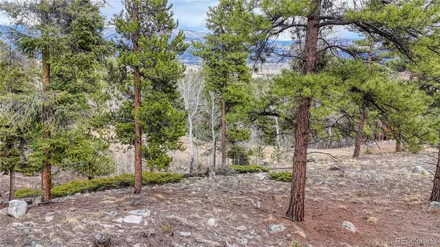 $330,000 | 30176 Mountaintop Drive, Buena Vista, CO 81211