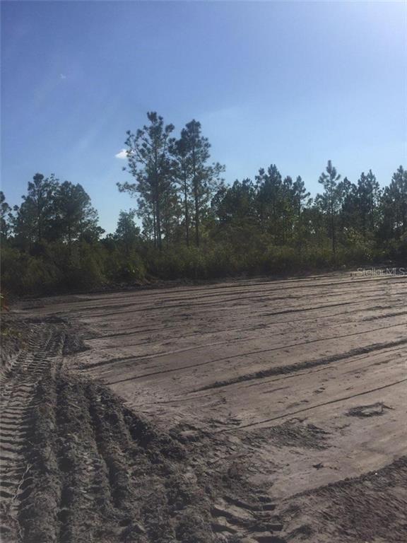 261 Little Brown Church Road Pierson, FL 32180 - Photo 1 of 1 Gallery Image 1