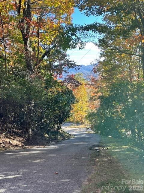 425 Flat Top Mountain Road Fairview, NC 28730 - Photo 45 of 48 a view of a yard with a tree