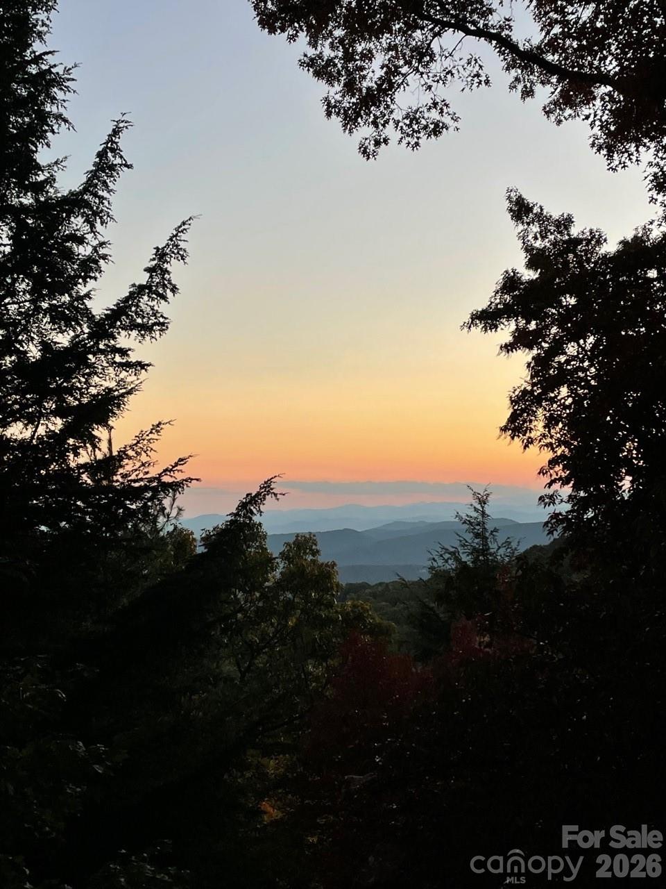 425 Flat Top Mountain Road Fairview, NC 28730 - Photo 47 of 48