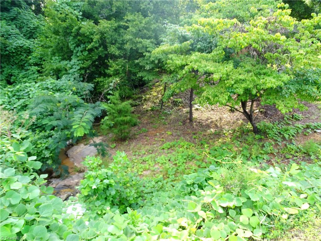 4596 Colonial Circle Trinity, NC 27370 - Photo 35 of 36 creek beside house