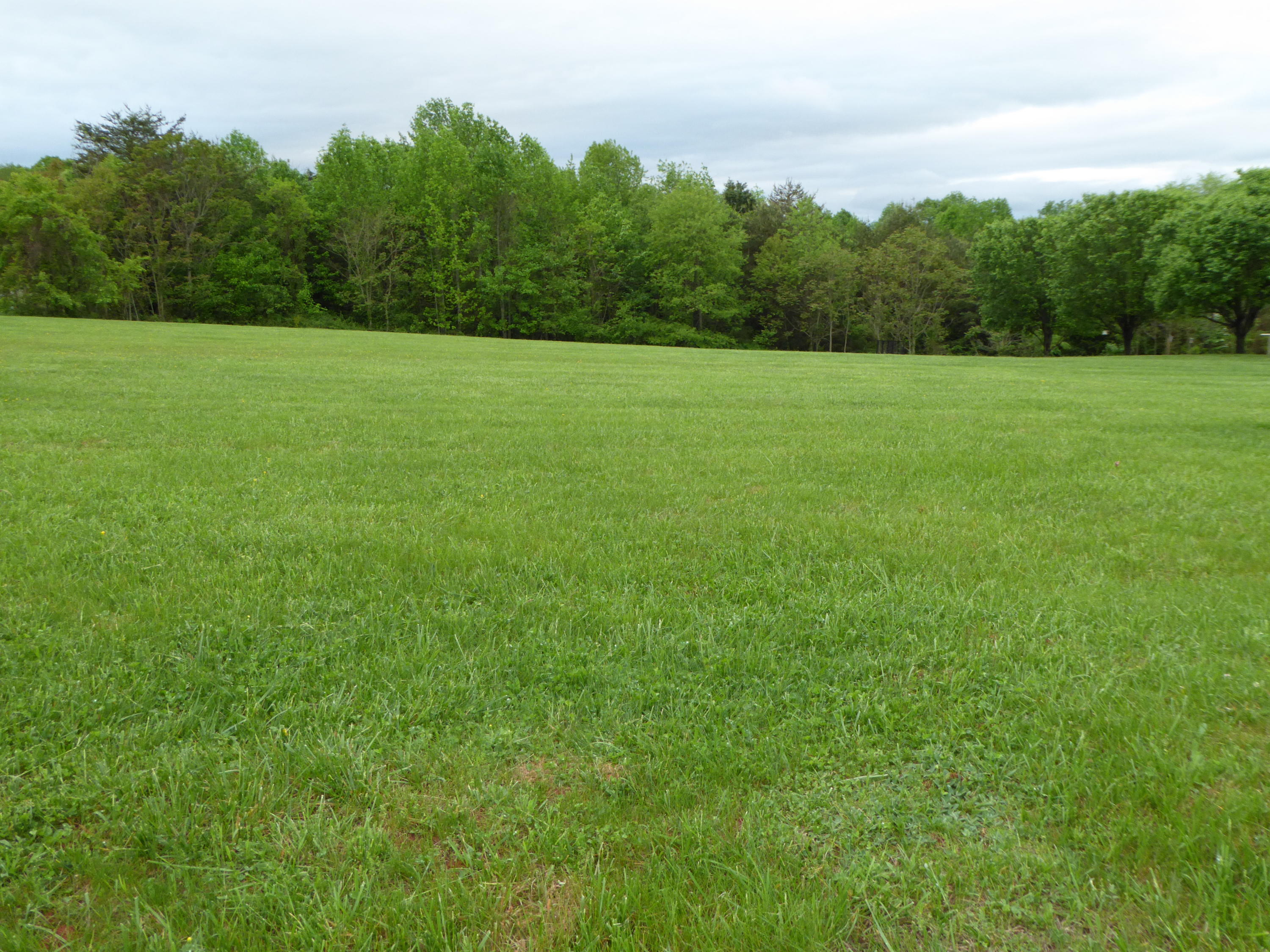 0 Farmington Road Hardy, VA 24101 - Photo 3 of 5 a view of a green field with trees in the background