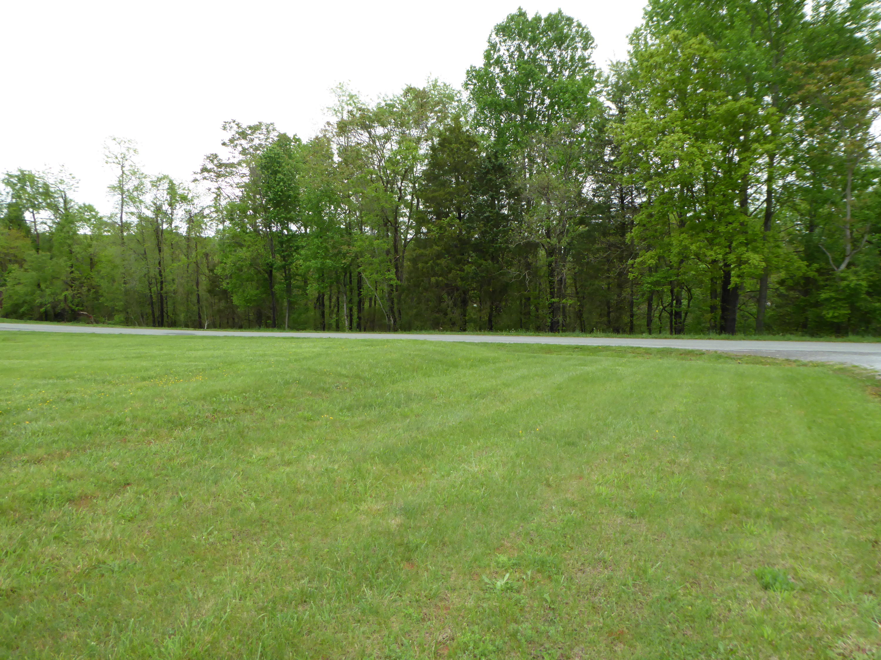 0 Farmington Road Hardy, VA 24101 - Photo 5 of 5 a view of a grassy field with trees in the background