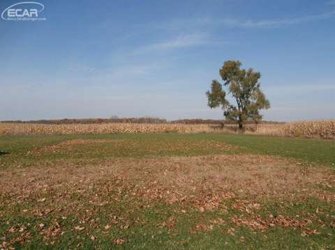 3001 East Copas Road Owosso, MI 48867 - Photo 18 of 19 20424059-17.JPG