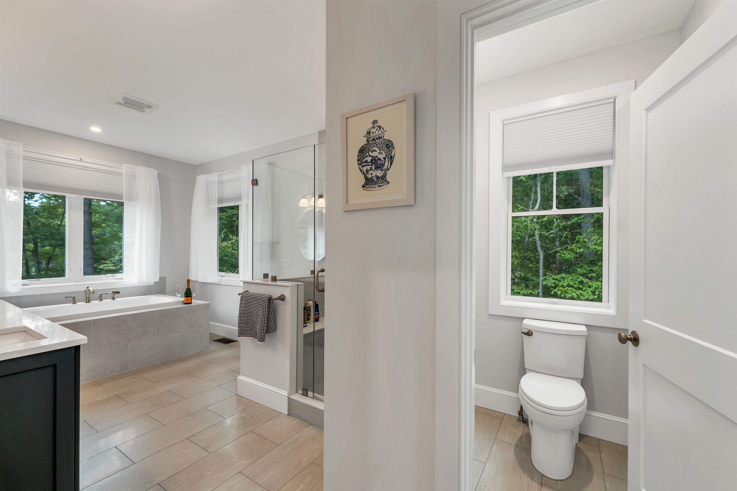 79 River Street Wolfeboro, NH 03894 - Photo 33 of 58