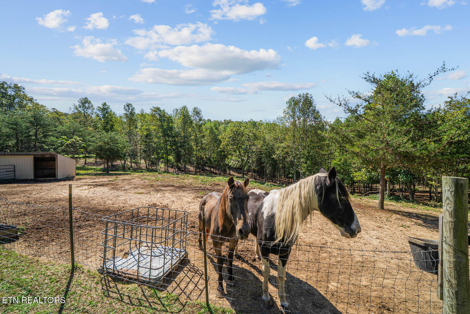 1301 Valley View Road Crossville, TN 38572 - Photo 41 of 60 5