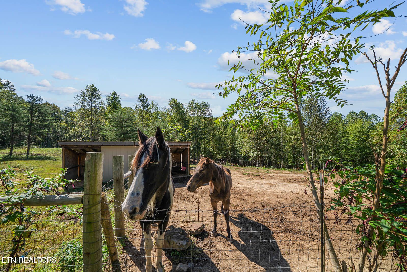 1301 Valley View Road Crossville, TN 38572 - Photo 42 of 60 4