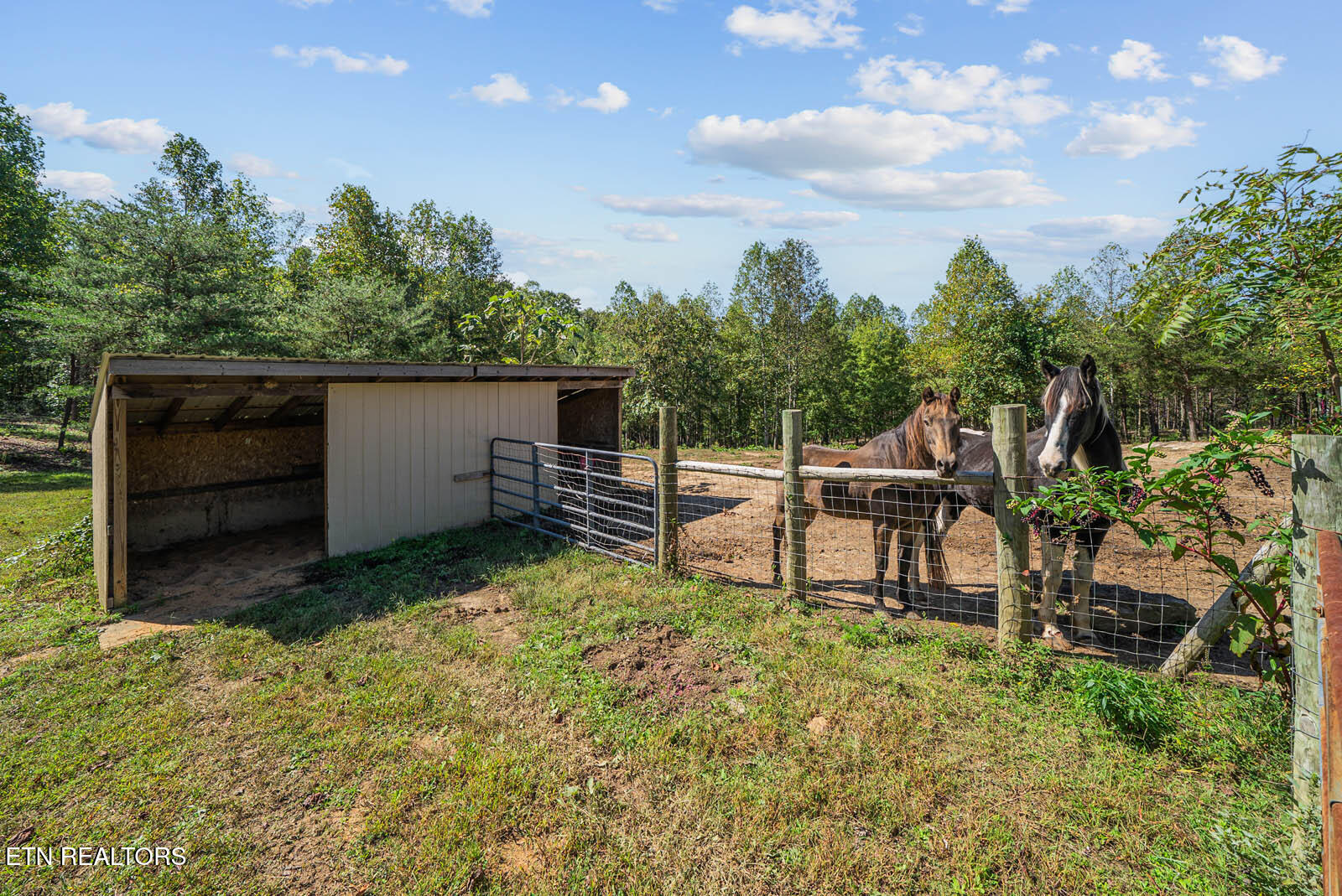 1301 Valley View Road Crossville, TN 38572 - Photo 43 of 60 3