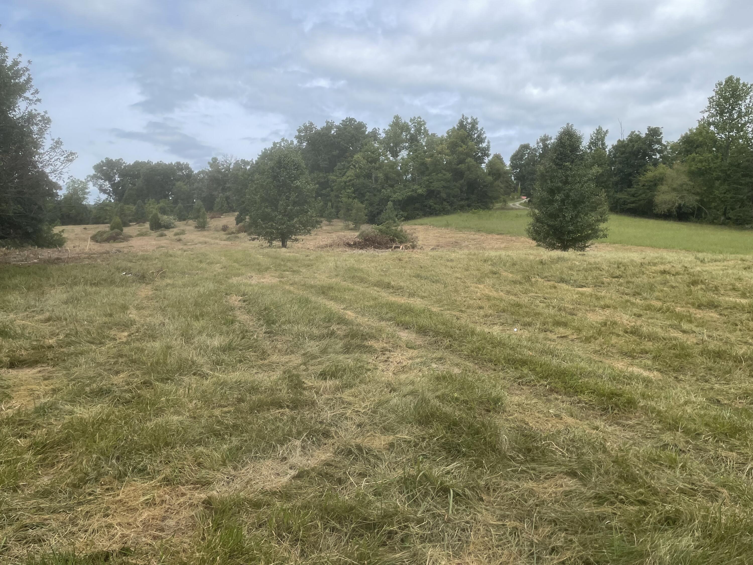 195 Whitaker Road Bulls Gap, TN 37711 - Photo 1 of 15 Photo 1