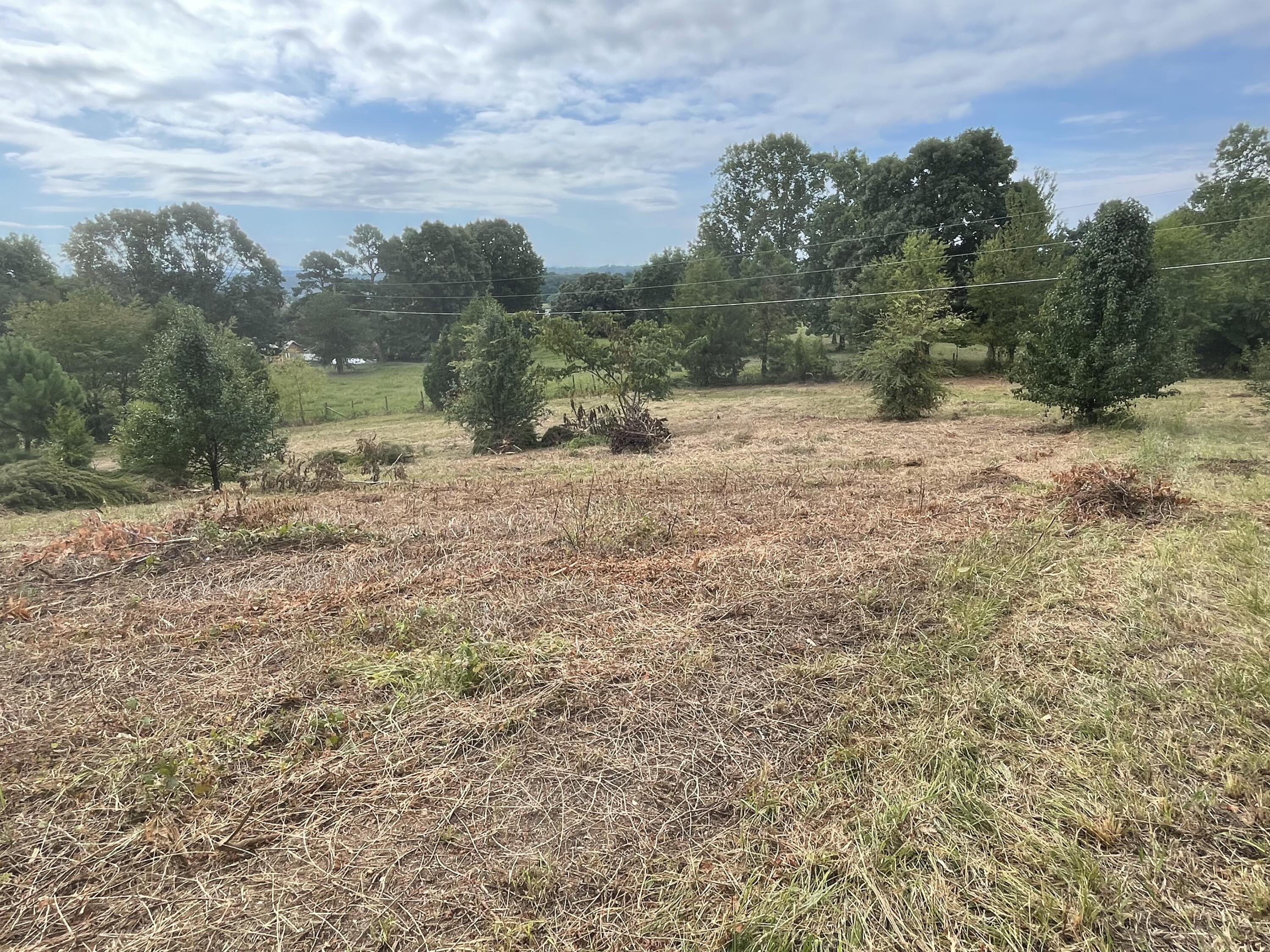 195 Whitaker Road Bulls Gap, TN 37711 - Photo 11 of 15 Photo 10