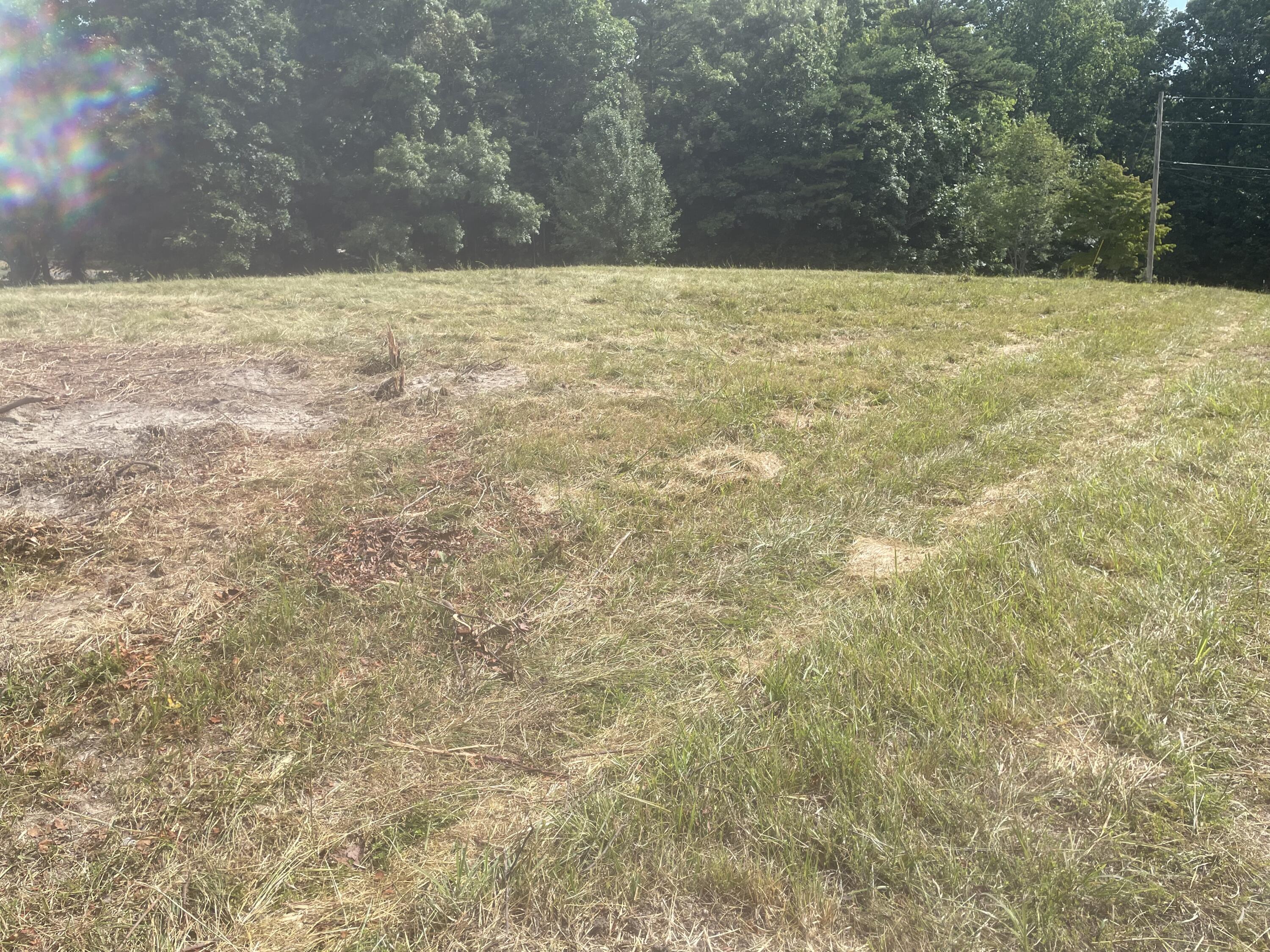 195 Whitaker Road Bulls Gap, TN 37711 - Photo 14 of 15 Photo 14
