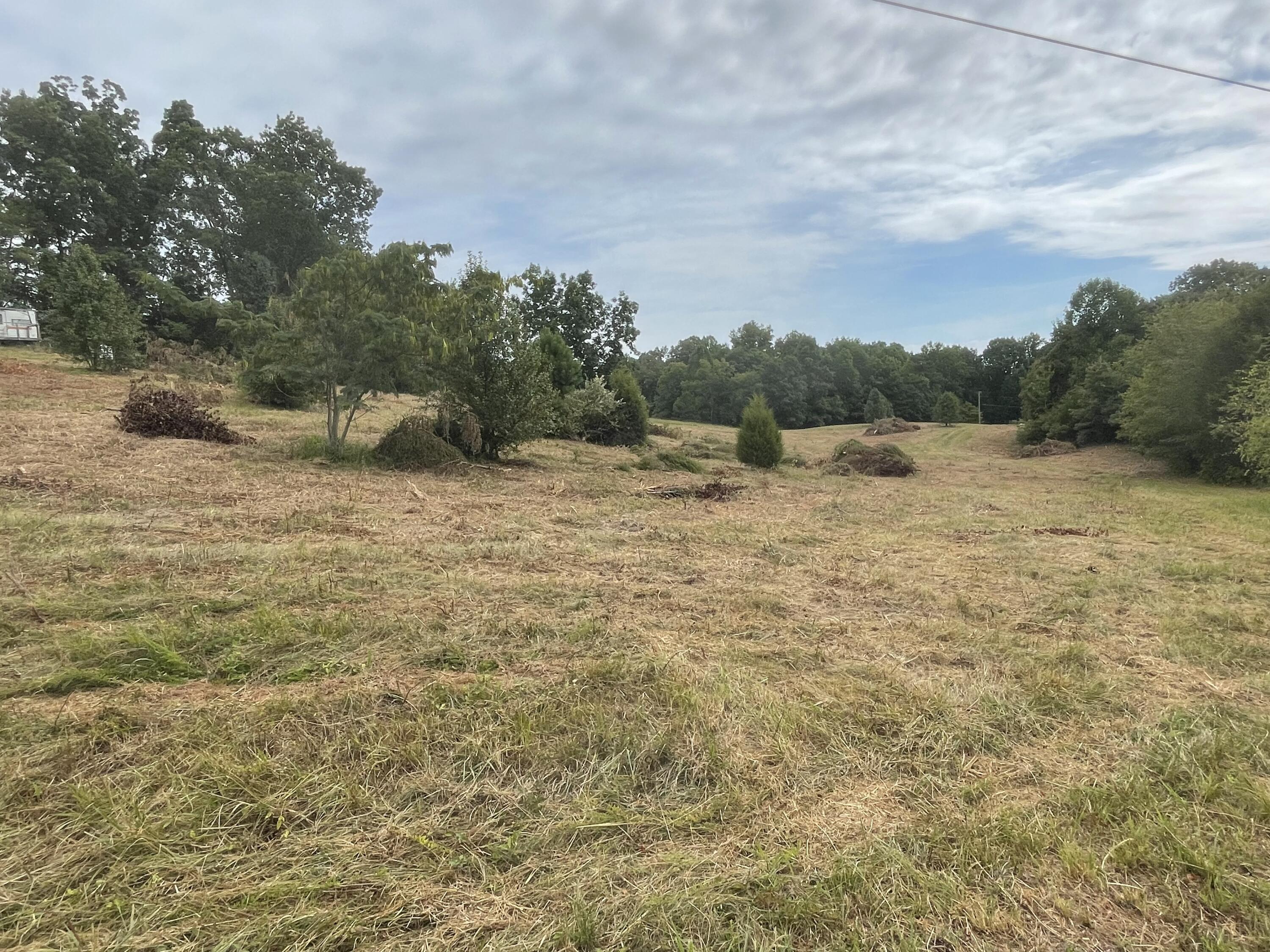 195 Whitaker Road Bulls Gap, TN 37711 - Photo 7 of 15 Photo 6
