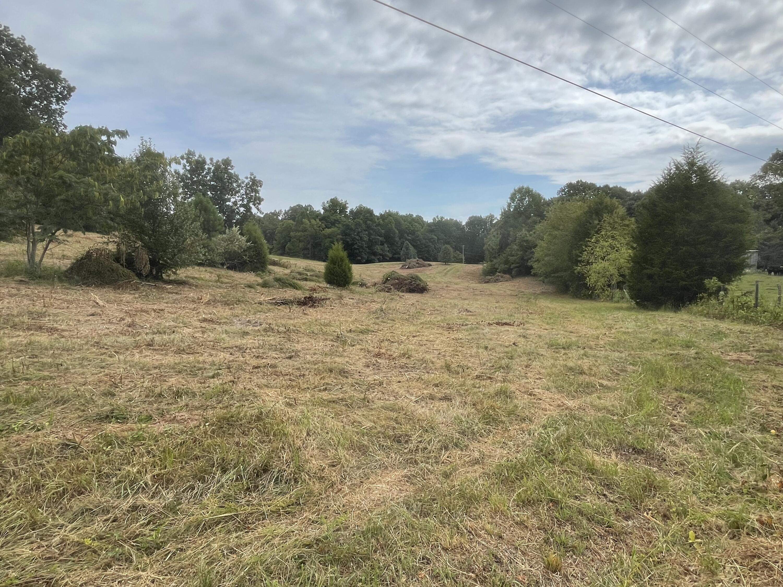 195 Whitaker Road Bulls Gap, TN 37711 - Photo 8 of 15 Photo 7