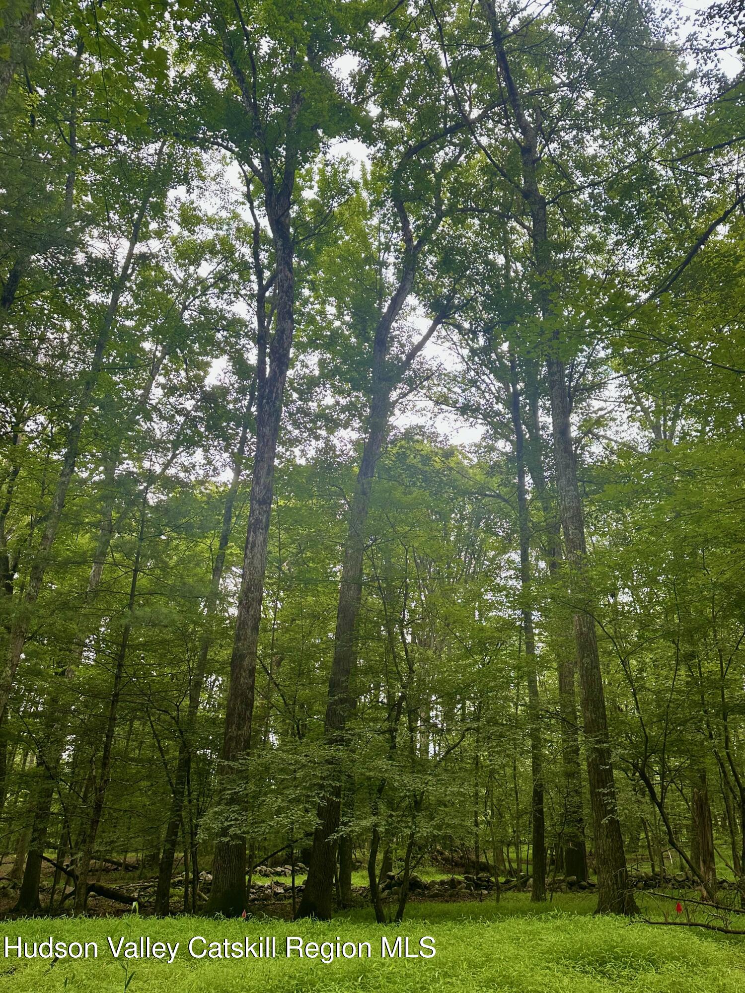 0 County Route 6 High Falls, NY 12440 - Photo 11 of 27 a view of outdoor space and yard
