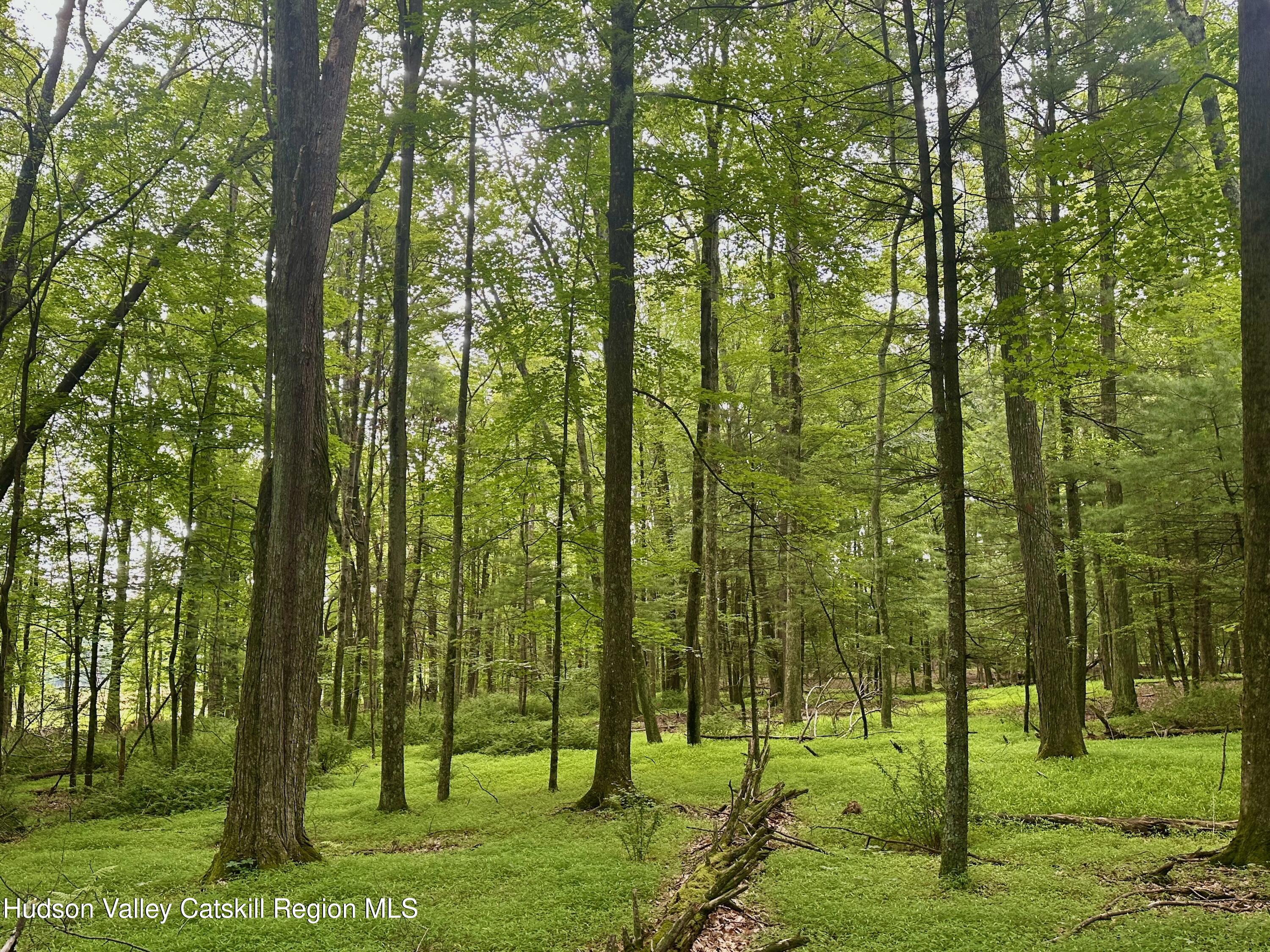 0 County Route 6 High Falls, NY 12440 - Photo 13 of 27 a view of an outdoor space