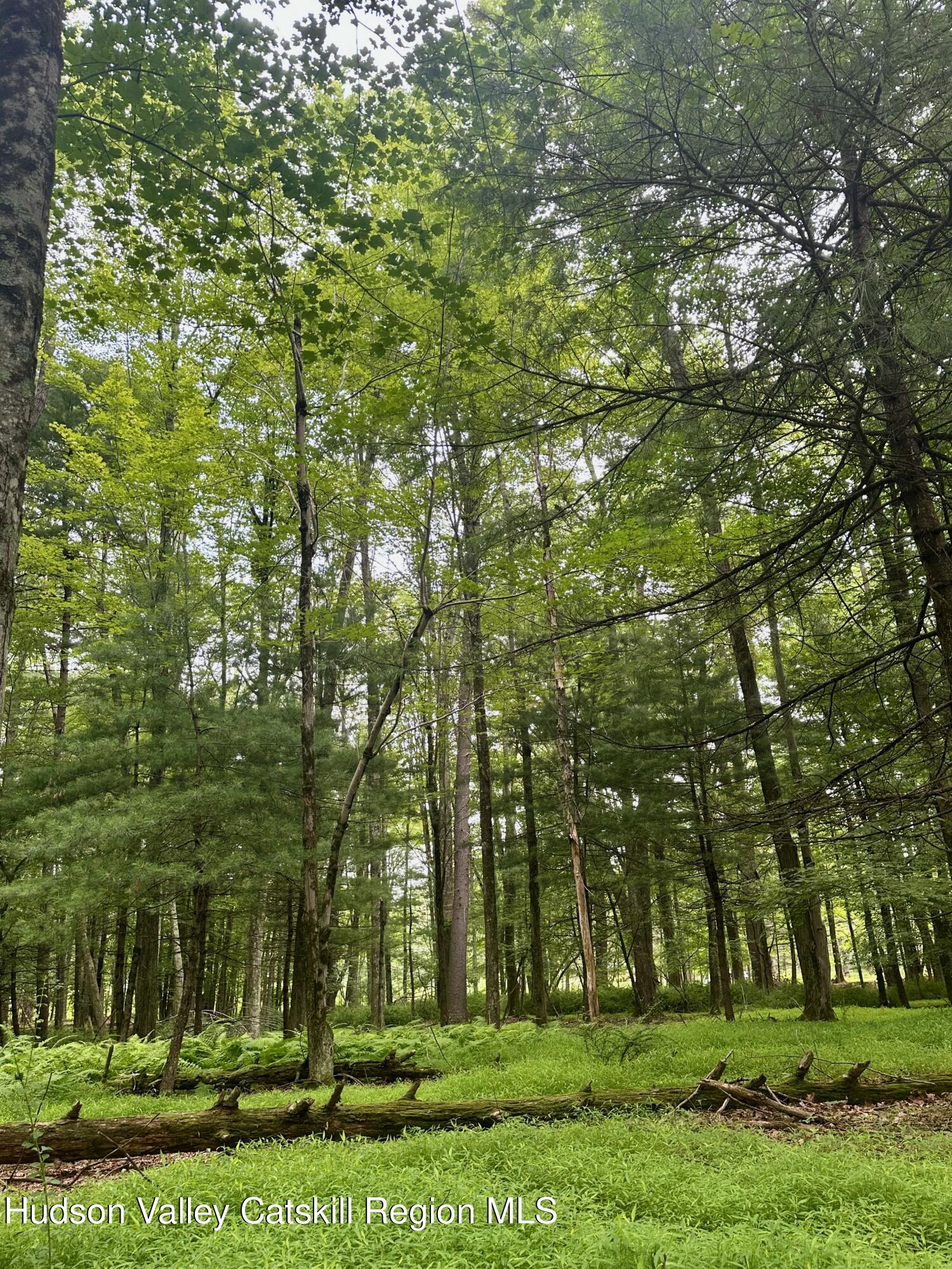 0 County Route 6 High Falls, NY 12440 - Photo 15 of 27 a view of a park