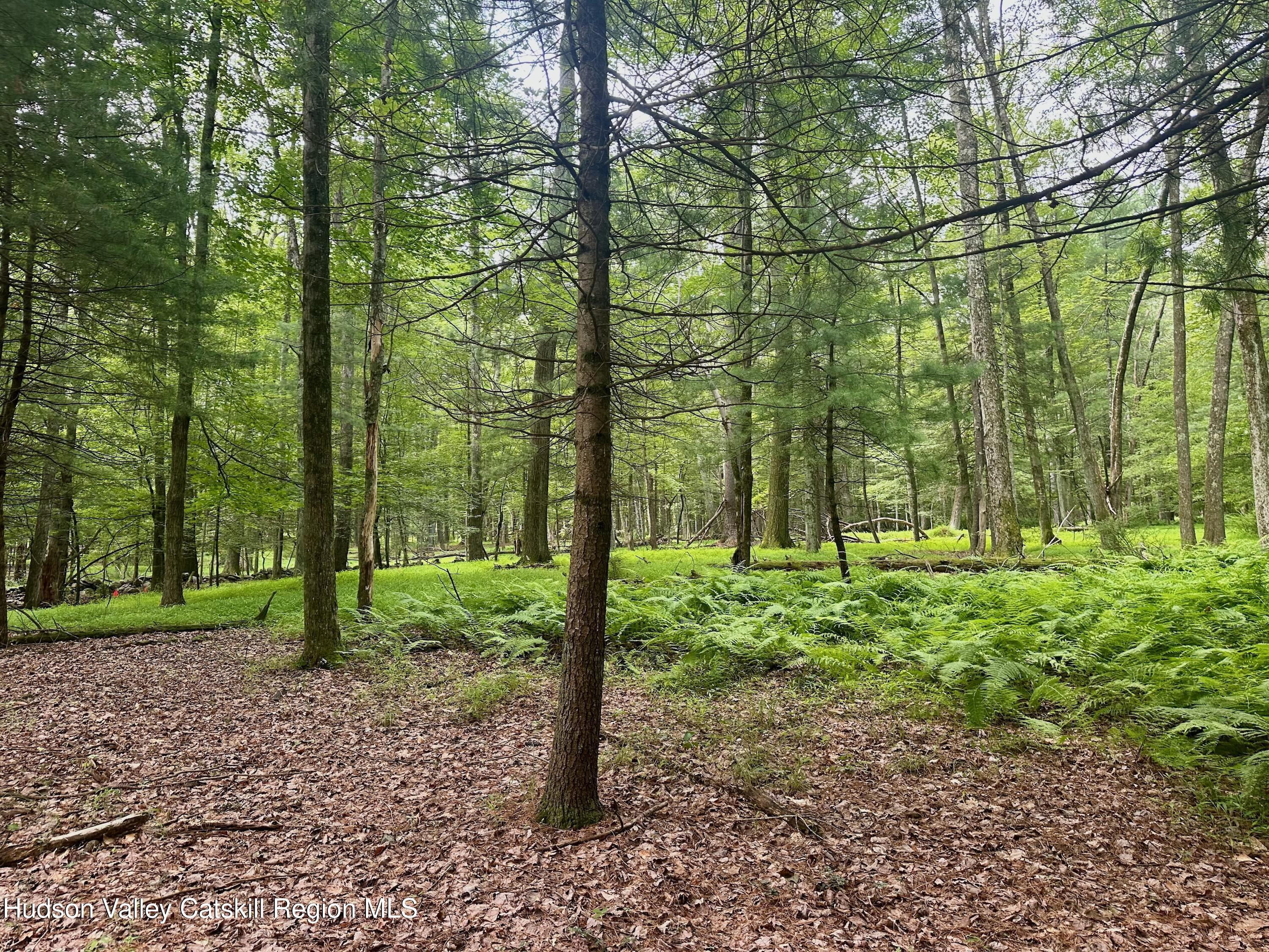 0 County Route 6 High Falls, NY 12440 - Photo 21 of 27 a backyard of a house with lots of green space