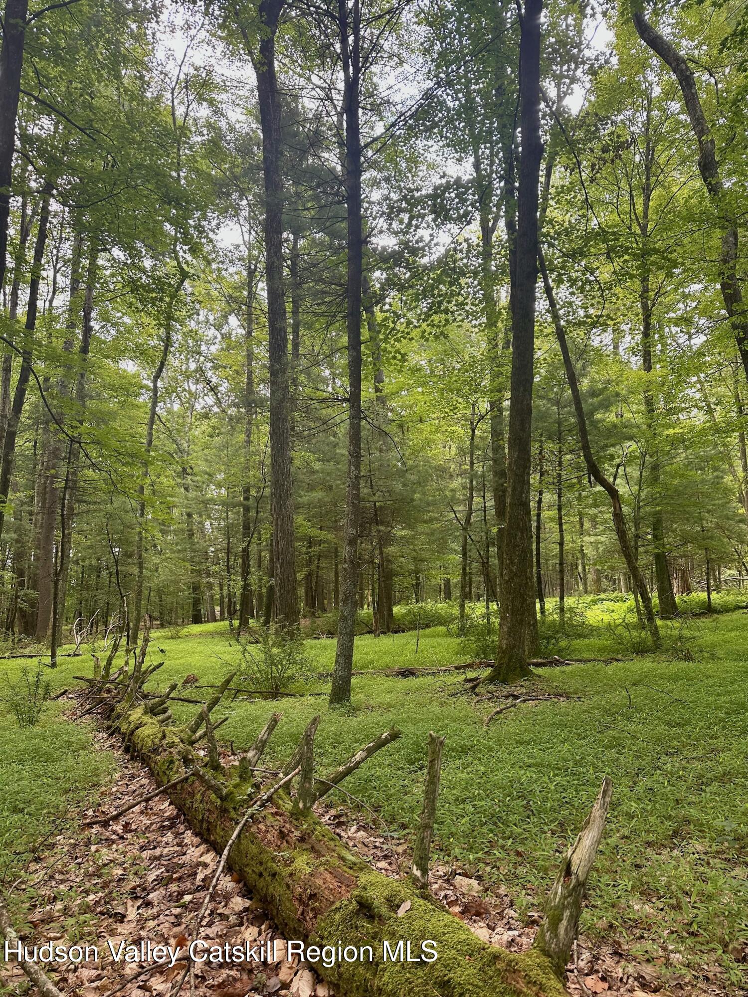 0 County Route 6 High Falls, NY 12440 - Photo 22 of 27 a view of a park